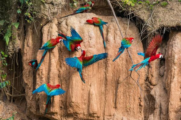 From Andes to Amazon: Peru’s Spectacular Nature and Wildlife Adventures post thumbnail image