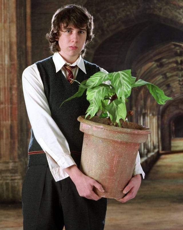 Matthew Lewis and the Transformation of Neville Longbottom post thumbnail image